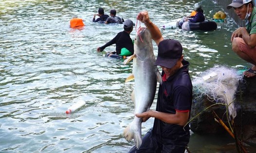 Người dân đánh bắt cá sau khi thủy điện Trị An đóng đập xả tràn. Ảnh tư liệu: HAC
