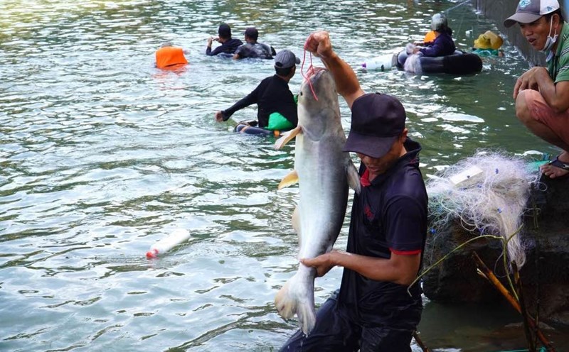 People fishing after Tri An hydropower plant closed the spillway. Documentary photo: HAC