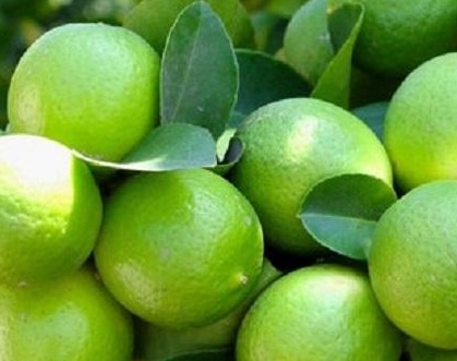 Detoxifying the liver by drinking lemon juice should be considered and cautious. Photo: Kieu Vu