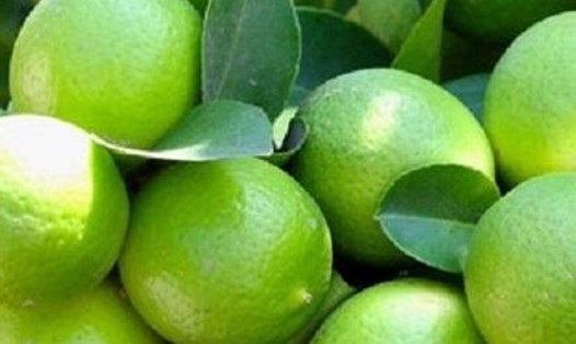 Thải độc gan bằng uống nước chanh cần được xem xét, thận trọng. Ảnh: Kiều Vũ