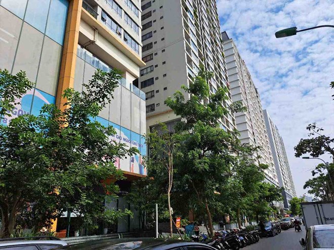 Gia can ho chung cu so cap tang manh, day gia nha thu cap len cao. Anh: Luc Giang