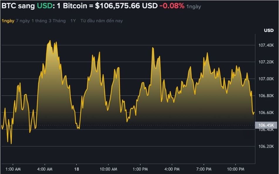 Du lieu tren Binance - san giao dich tien ma hoa lon nhat the gioi cho thay gia Bitcoin lao doc khong phanh. Nguon: Binance.com  