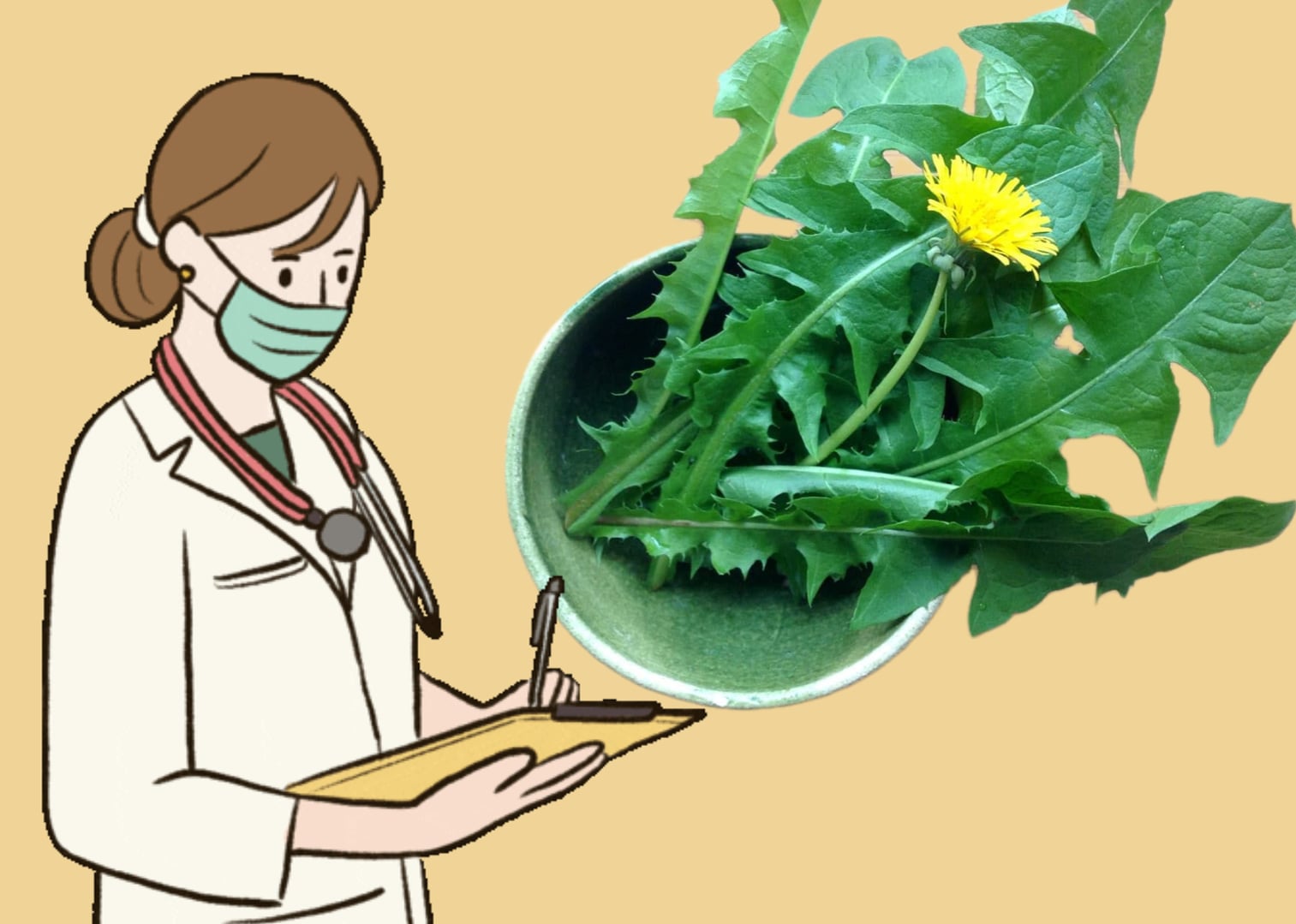 This plant is considered a weed that helps detoxify the liver quickly. Graphics: Phuong Thao