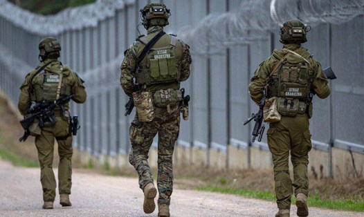 Biên phòng Ba Lan tuần tra biên giới Ba Lan - Belarus ở Polowce-Pieszczatka, Ba Lan. Ảnh: AFP