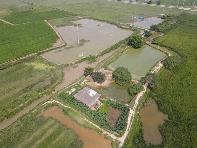 Inside the An Viet - Que Vo 6 Industrial Park project (Bac Ninh), photo taken in May 2024. Photo: Van Truong