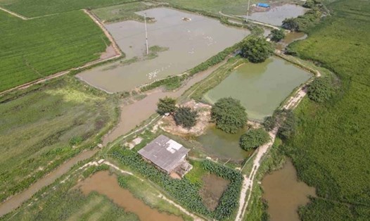 Bên trong dự án KCN An Việt - Quế Võ 6 (Bắc Ninh), ảnh chụp tháng 5.2024. Ảnh: Vân Trường