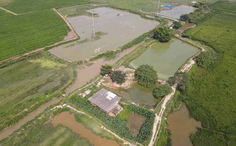 Inside the An Viet - Que Vo 6 Industrial Park project (Bac Ninh), photo taken in May 2024. Photo: Van Truong