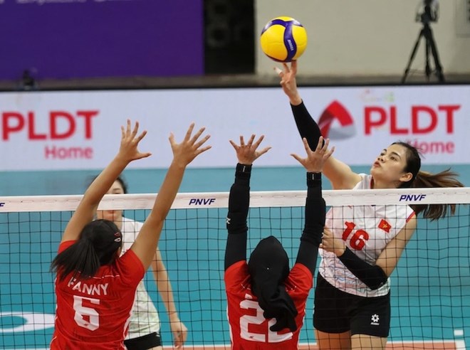 Tuyen bong chuyen nu Viet Nam cung bang voi Indonesia tai vong bang SEA Games 33. Anh: AVC