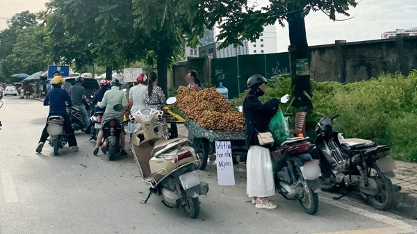 What to do to manage street vendors. Photo: Minh Hanh