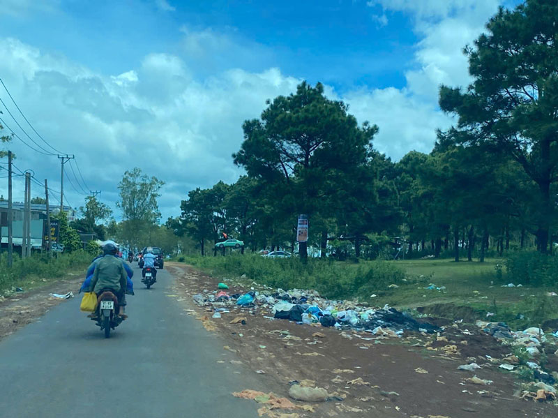 Ia Hrung コミューンの観光松林のいたるところにゴミが落ちています。写真: タイン・トゥアン