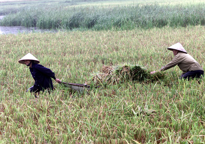 Vinh Long province strives to reduce 0.5% of poor households, increase about 1.5% of poor households to access basic social services in 2025. Photo: Hai Nguyen