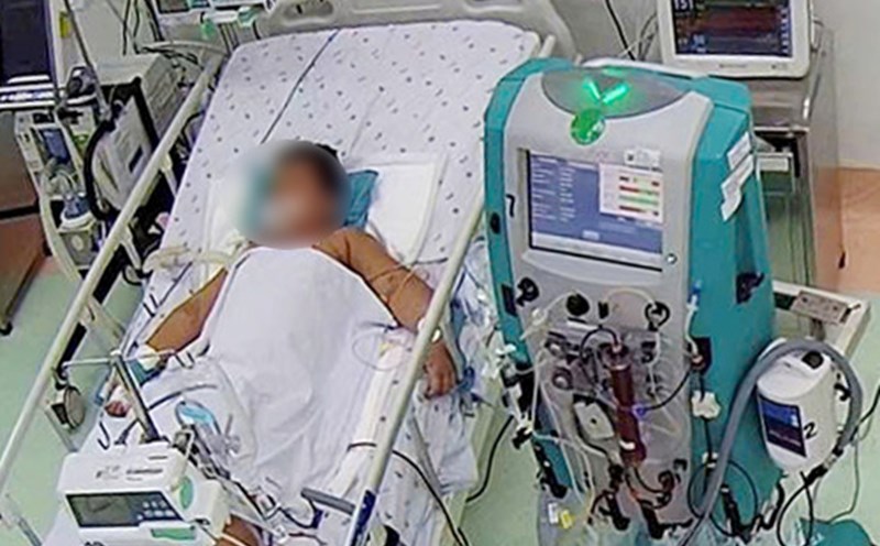 Children with dengue shock syndrome are severely affected. Photo: Provided by the doctor