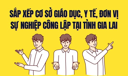 Sắp xếp, sáp nhập cơ sở giáo dục, y tế, đơn vị sự nghiệp công lập tại tỉnh Gia Lai. Đồ họa: Trà My
