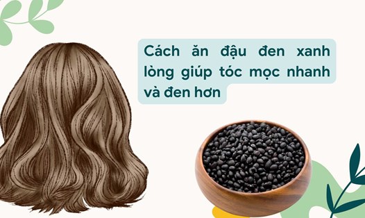 Đậu đen xanh lòng giàu chất xơ và protein giúp kích thích mọc tóc. Ảnh đồ hoạ: Hương Sơn