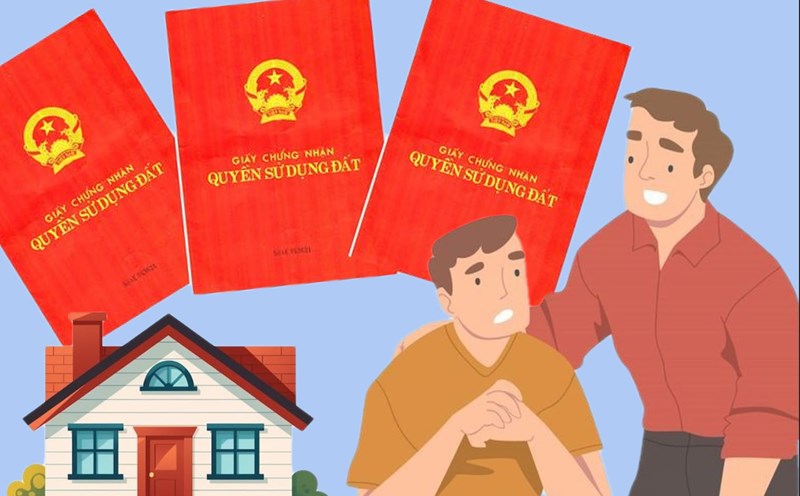 El Ministerio de Agricultura y Medio Ambiente responde sobre el caso de perdida del libro rojo original solo quedan fotos. Grafico: Phuong Thao