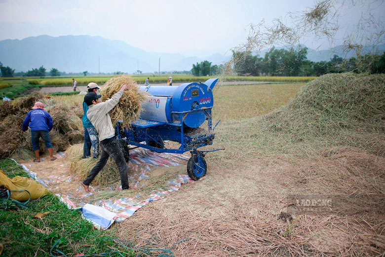 La comuna de Cam My siempre esta en el grupo lider de la provincia de Dong Nai en inversion en infraestructura rural. Foto: Hai Nguyen