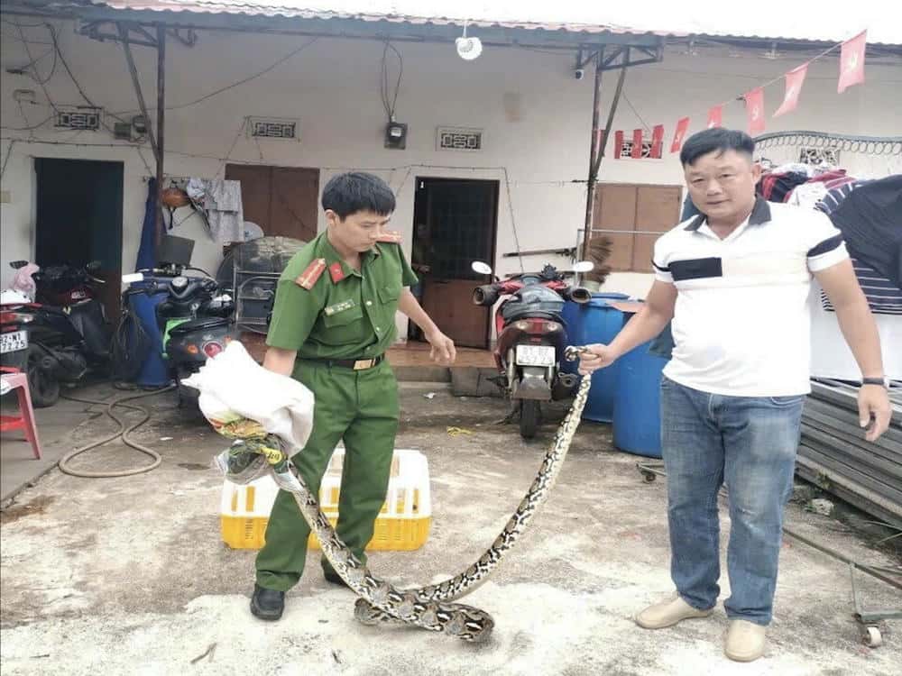 The large cross is handed over to the authorities. Photo: Dak Doa Forest Ranger