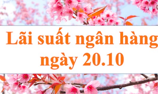 Ảnh: Hà Vy
