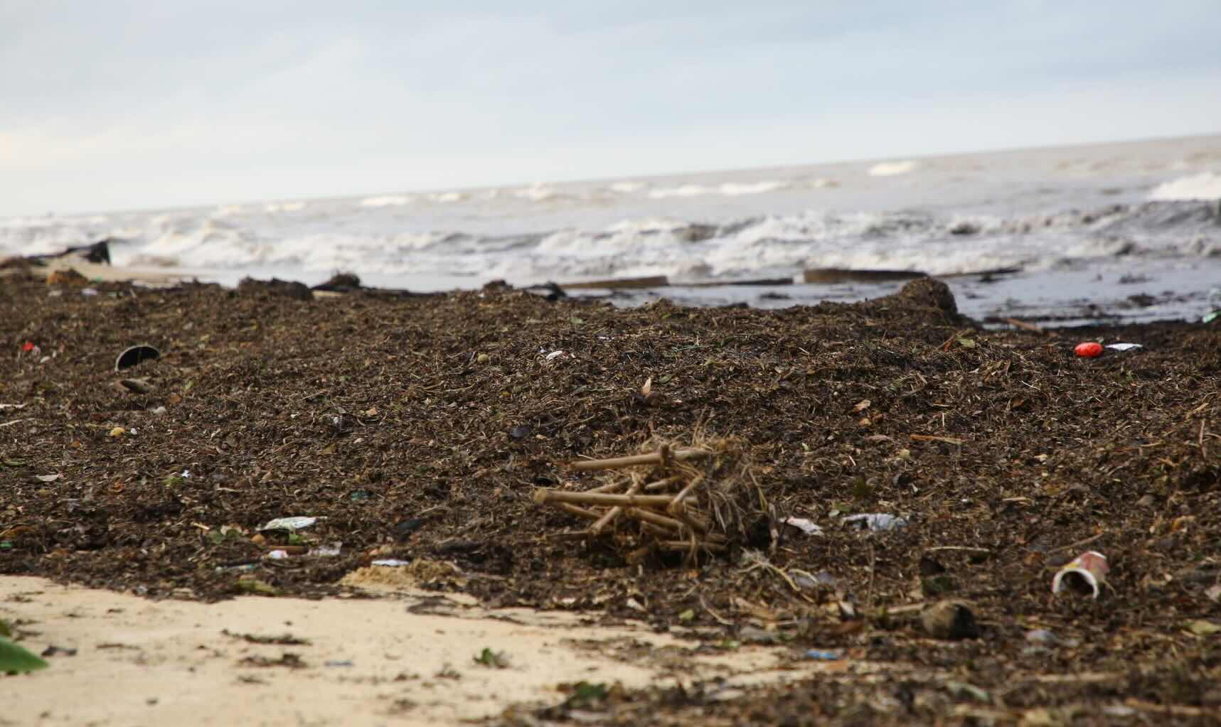 Les ordures sont inondees de nhat le plage apres le typhon n ° 10. Photo: Cong Sang