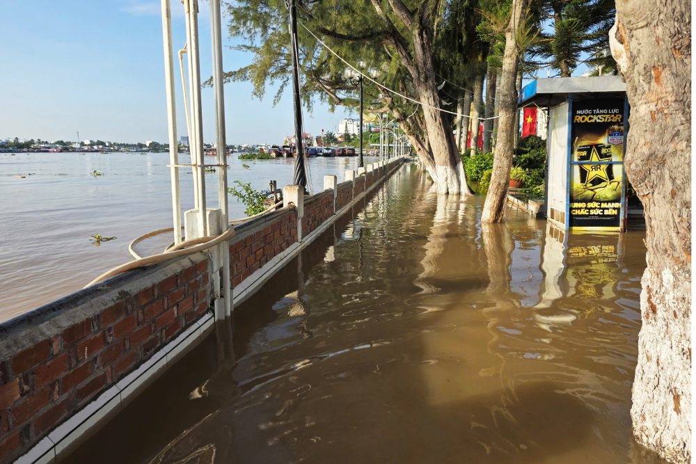Les inondations de la source montent en fleche combinees a la maree haute et au risque d'inondations dans de nombreuses localites du delta du Mekong. Sur la photo : Ben Ninh Kieu ville de Can Tho etendue d'eau pendant la maree haute de mi-septembre 2025. Photo : Ta Quang