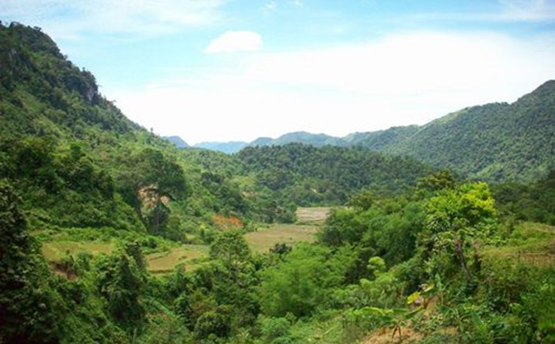 Ngoc Son - Ngo Luong Nature Reserve, where traces of tigers were discovered. Photo: Center for People and Nature