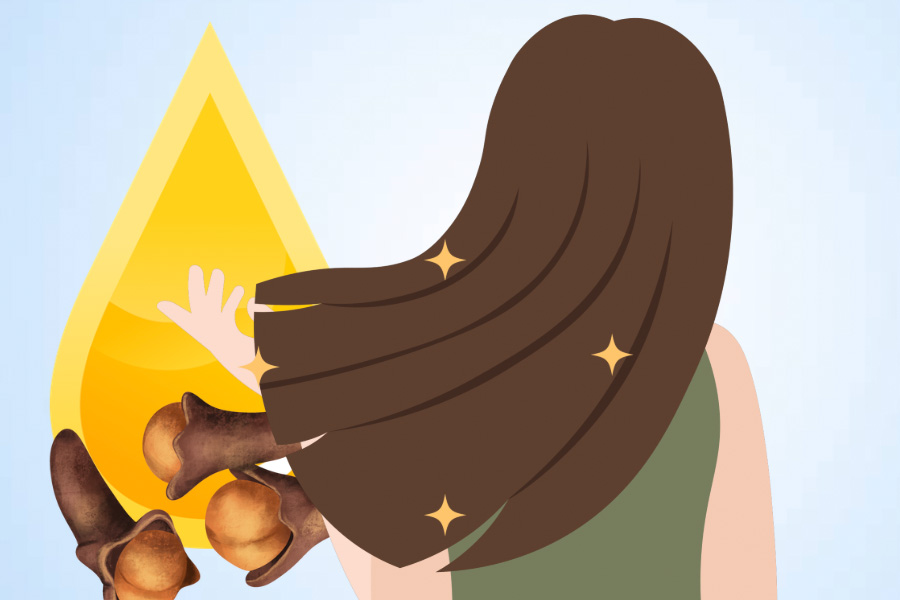 Benefits of cloves oil can help reduce hair loss and dandruff. Graphics: Thien Nhan