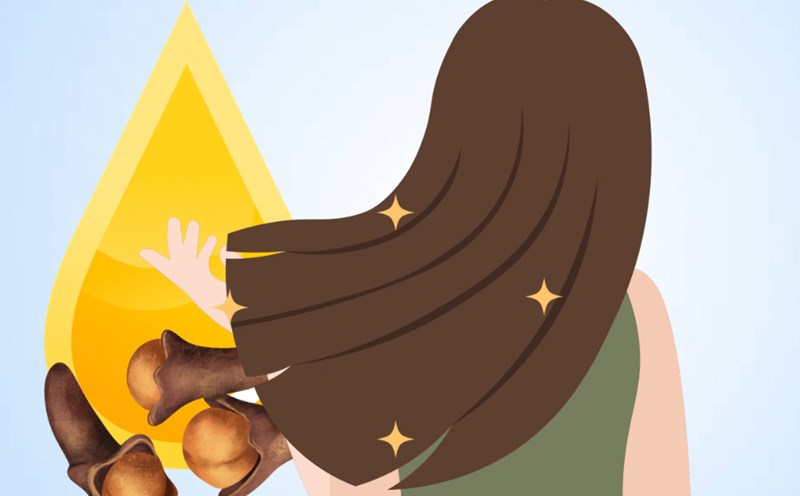 Benefits of cloves oil can help reduce hair loss and dandruff. Graphics: Thien Nhan