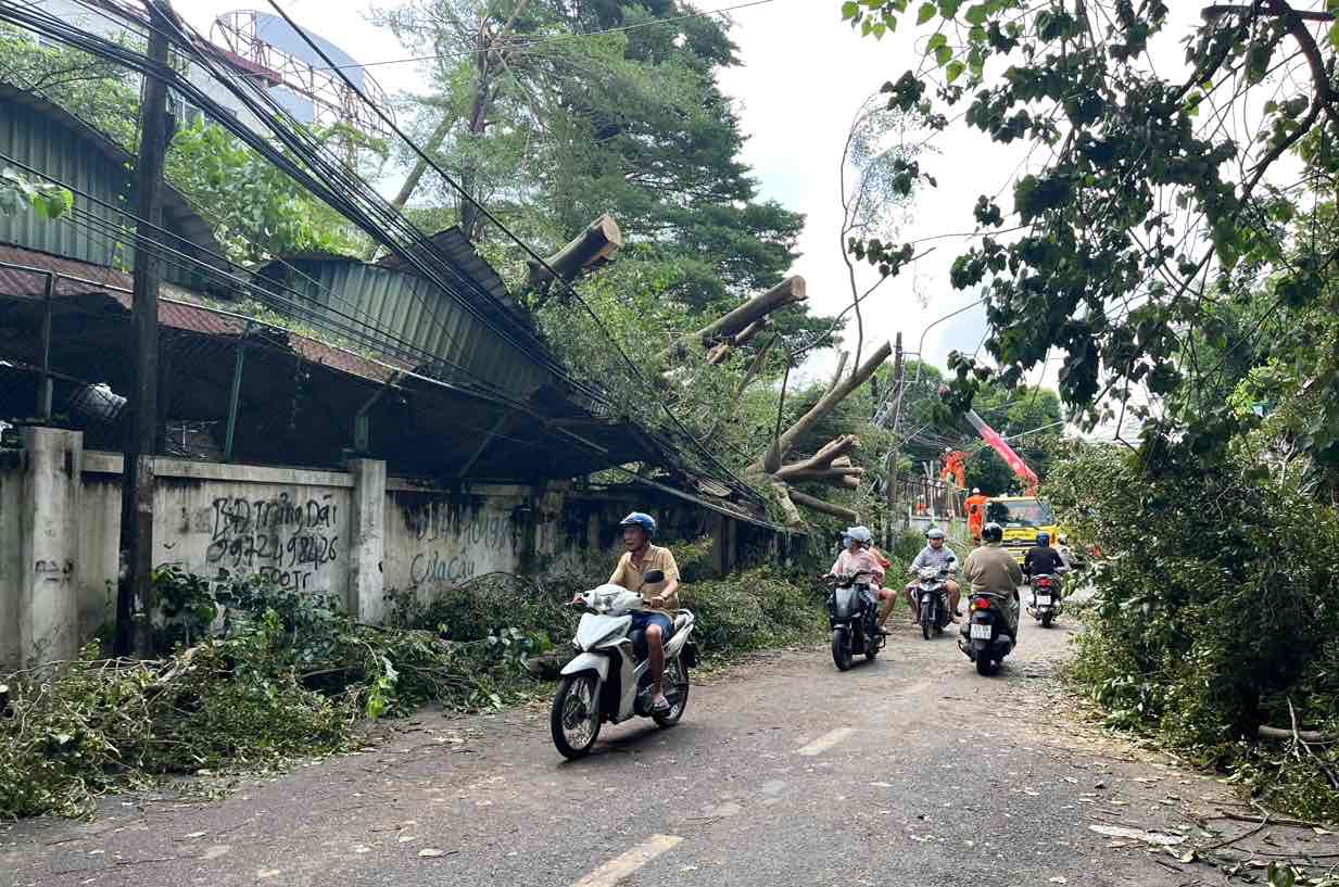 Cay xanh, cot dien nga do gan truong tieu hoc Tam Hiep A cung dang duoc xu ly. Anh: HAC