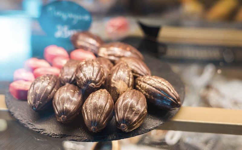 Unexpected benefits of cocoa extract. Photo: Thuy Duong