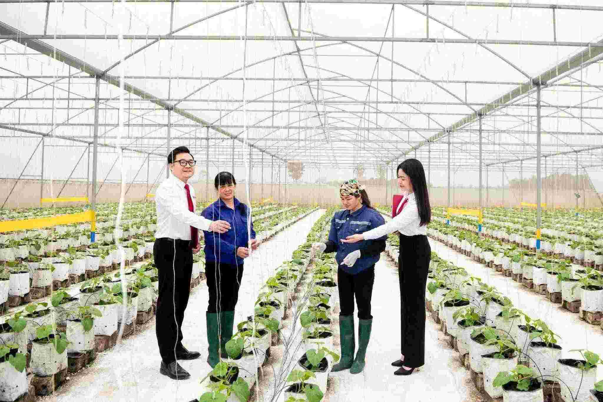 Agribank tang cuong nguon luc cho khu vuc “Tam nong” khang dinh cam ket dong hanh cung cac dia phuong trong viec lan toa tai chinh toan dien, huong den mot nen kinh te bao trum va phat trien ben vung. Anh: Agribank