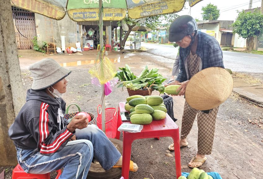 Dua nuoc ray duoc ua chuong vi duoc trong tu nhien, co vi thanh ngot, gion tan. Anh: Thanh Quynh