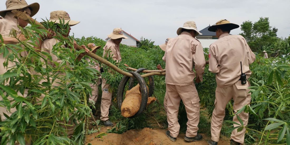 Une bombe a ete decouverte dans la zone ou les habitants cultivent du manioc. Photo : MAG