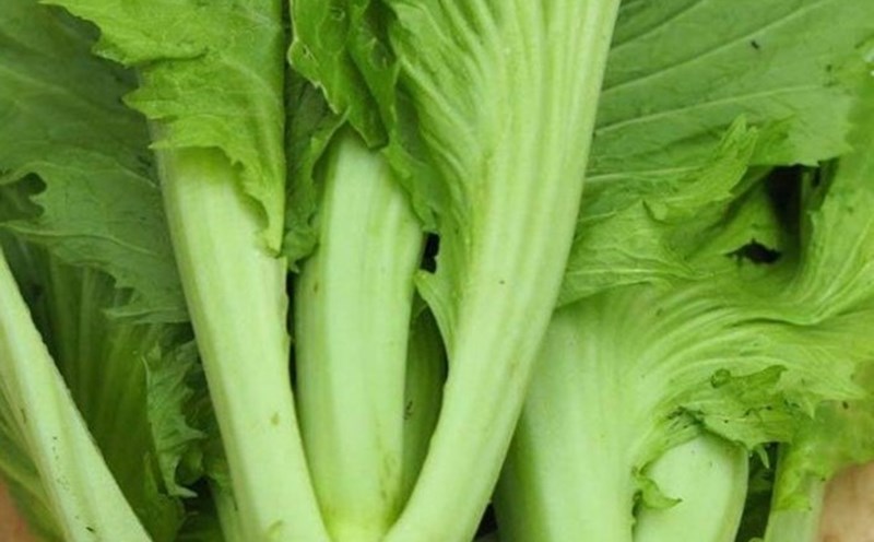 mustard greens are a vegetable with great nutritional value for bones thanks to their relatively abundant source of calcium. Photo: Kieu Vu.