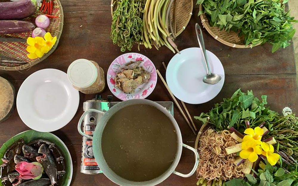 Vườn quốc gia U Minh Hạ: Kỳ hoa dị thảo chốn cùng trời