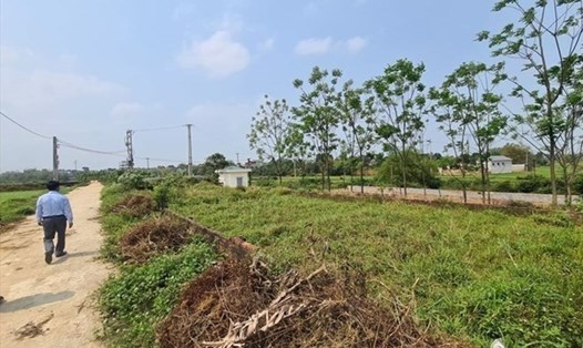 Quy định về tách thửa đất được người dân quan tâm. Ảnh: Cao Nguyên