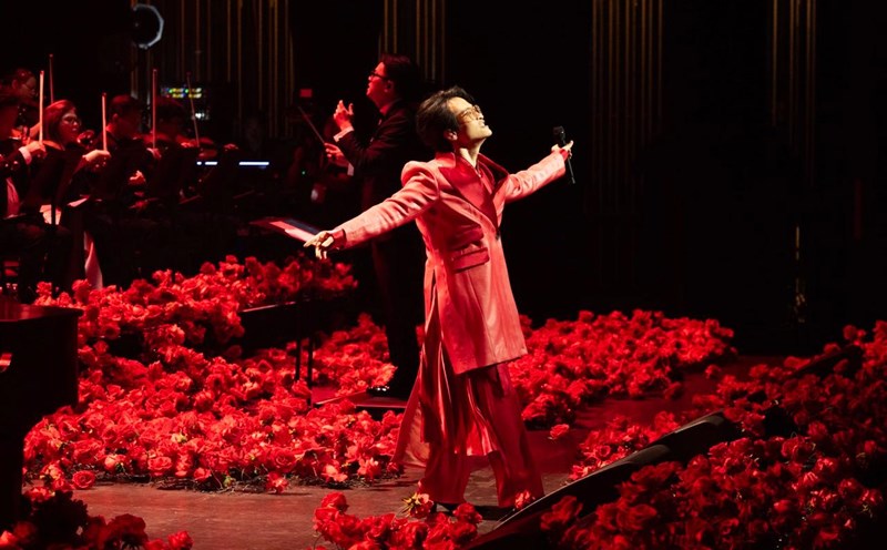 The male singer sublimated in the music night. Photo: Provided by the artist.