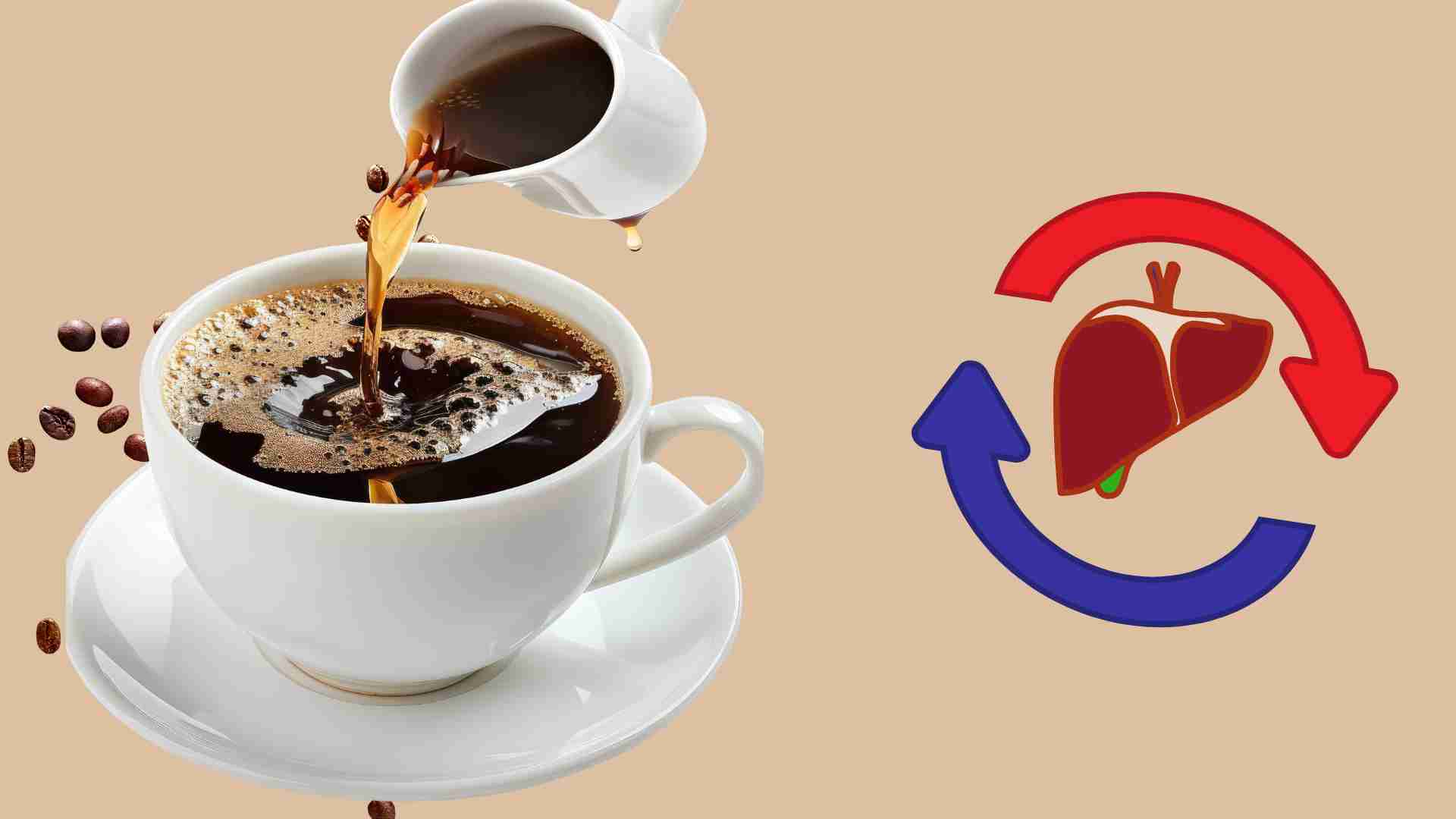 Black coffee is good for liver and kidney function. Graphics: Ha May