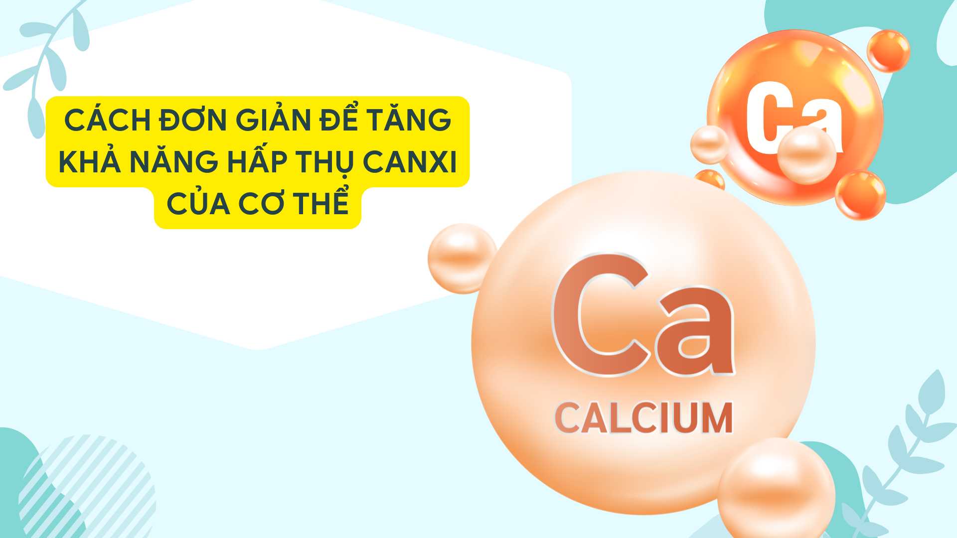 Milk, cheese, small fish that eat the bones... are foods rich in calcium, should be used regularly. Graphic photo: Huong Son