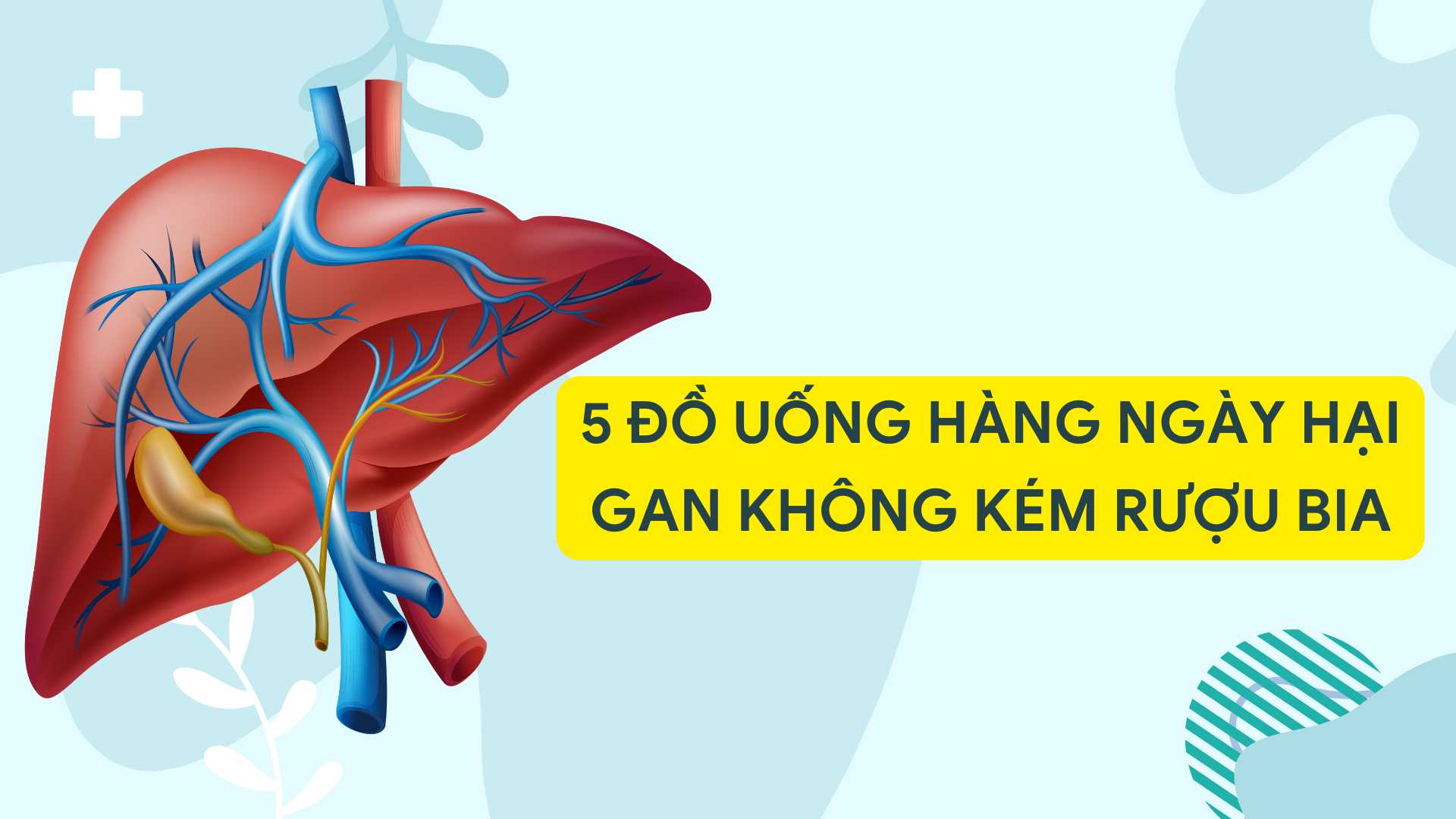 The liver is a detoxifier of the body, carbonated soft drinks contain high sugar and should not be overused. Graphic photo: Huong Son