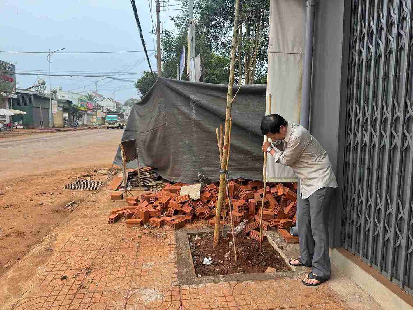 Arboles plantados en el interior del recinto cerca de las casas de los residentes en el barrio de Buon Ho provincia de Dak Lak. Foto: Bao Trung
