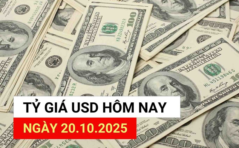 USD exchange rate today, October 20, 2025.