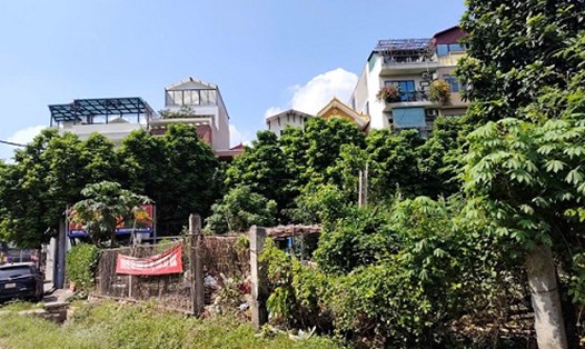 Bộ Nông nghiệp và Môi trường trả lời về quy định tách thửa sau sáp nhập. Ảnh: Xuyên Đông