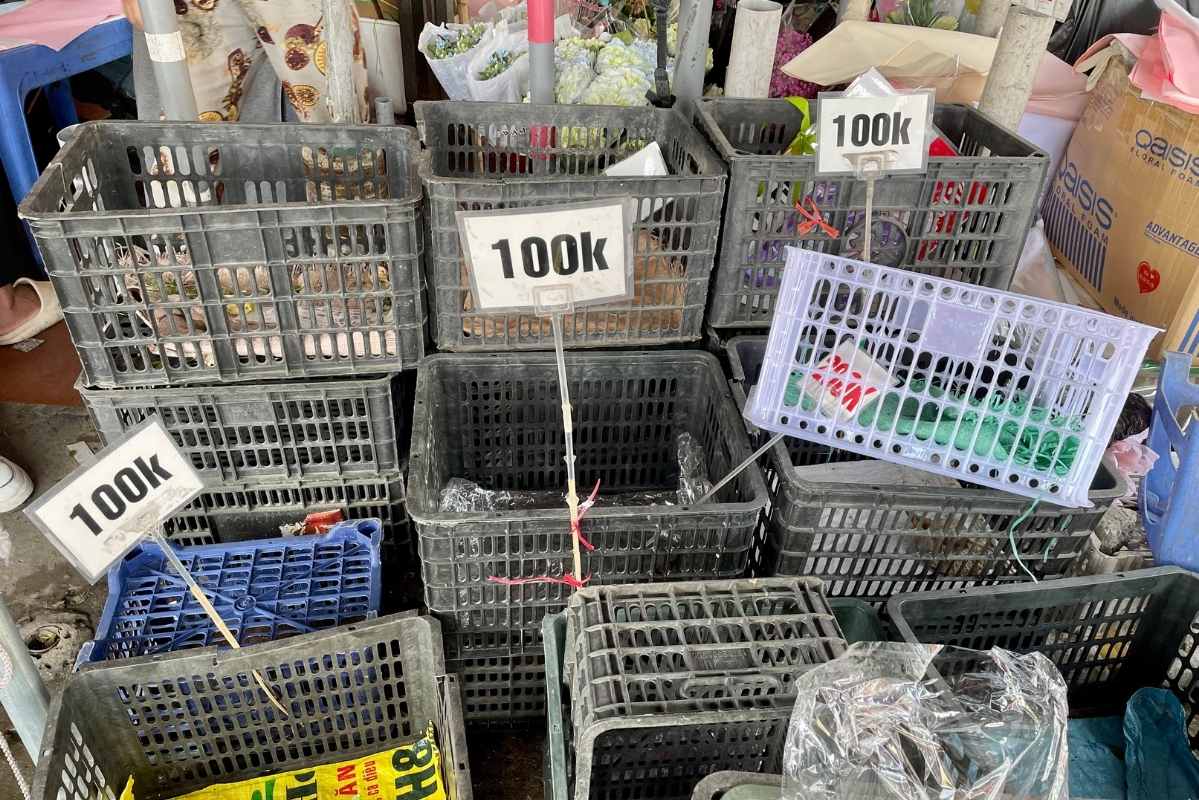 Cac mat hang hoa tuoi co gia tu 100.000-200.000 dong/bo cung da ban het trong buoi sang nay.