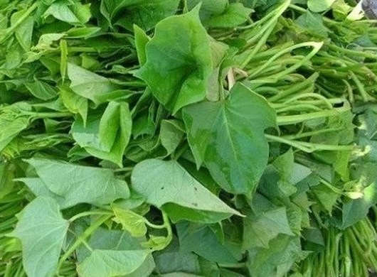 サツマイモは、健康的な食事と組み合わせると、自然に血圧を下げるのに役立ちます。写真: キエウ・ヴー.