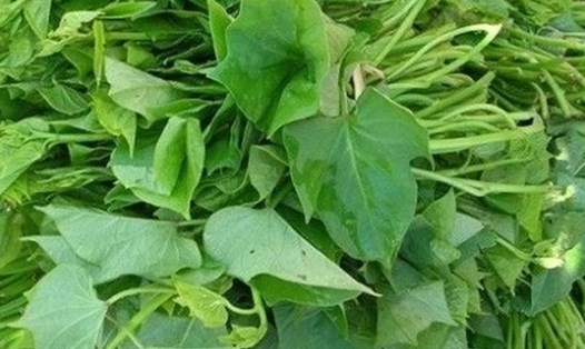 Rau lang có thể góp phần hạ huyết áp tự nhiên nếu kết hợp chế độ ăn lành mạnh. Ảnh: Kiều Vũ.