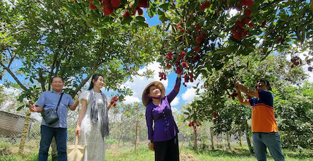 El turismo recibe a mas de 51.000 visitantes en museos bibliotecas sitios historicos y turismo. Foto: Departamento de Cultura Deportes y Turismo de Vinh Long