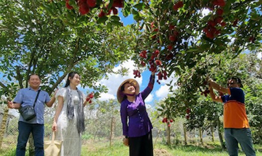Du lịch đón hơn 51.000 lượt khách tại bảo tàng, thư viện, di tích và du lịch. Ảnh: Sở VHTT&DL Vĩnh Long