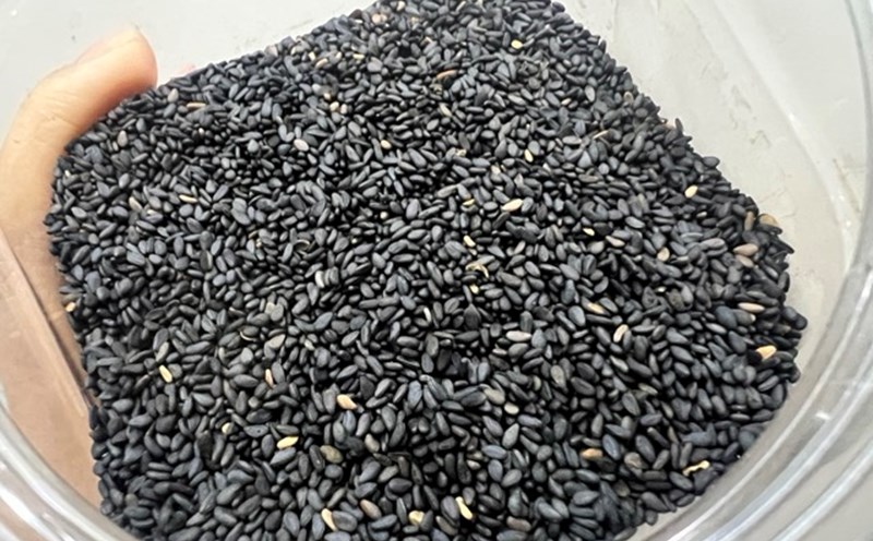Black cat's feet contain a lot of vitamin E, minerals... to help hair turn black naturally. Photo: Huong Son