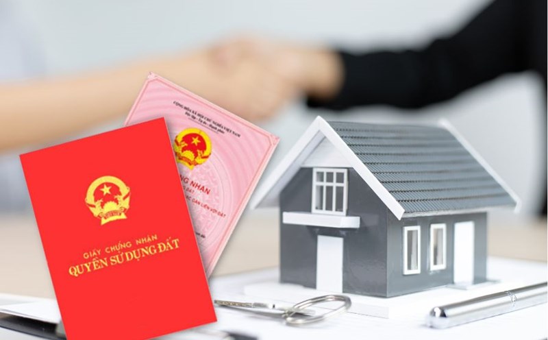 Segun las regulaciones si la tierra comprada despues del matrimonio con dinero propio esta a nombre solo en el libro rojo. Foto: Nhu Ha