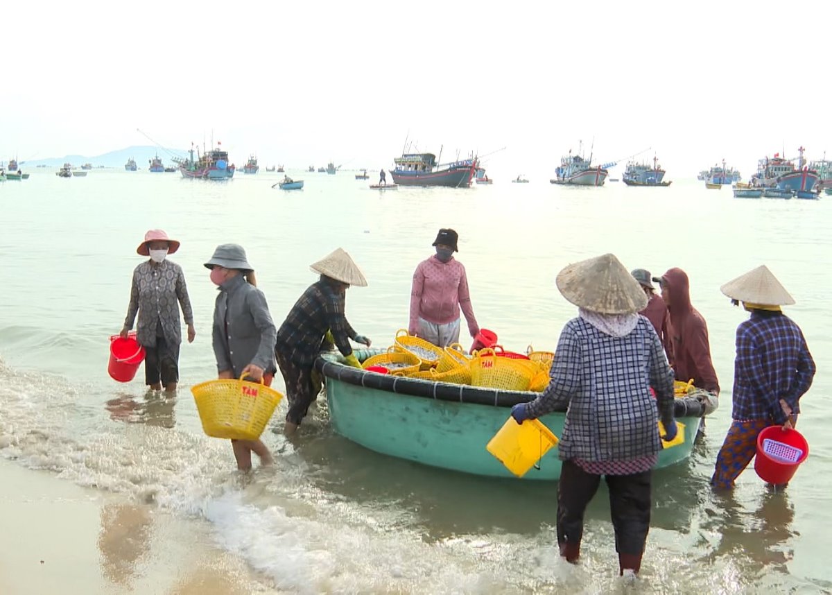 Women move fish baskets from boats to make a living at the fishing port in Mui Ne, Lam Dong province. Photo: Duy Tuan